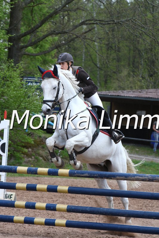 004M2199_Feivel the mouse_Punkte L m. Joker.JPG